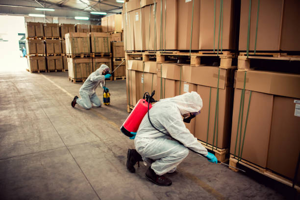 Professional Pest Control in Big Lake, WA