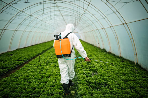 Best Pest Control Near Me  in Big Lake, WA