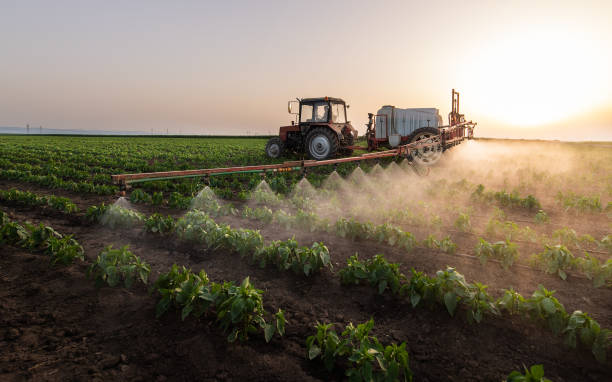 Best Mosquito Control Services  in Big Lake, WA