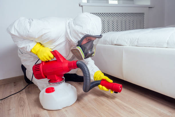 Best Wasp Removal Services  in Big Lake, WA