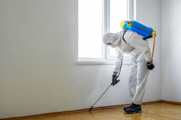 Best Best Pest Control Companies  in Big Lake, WA
