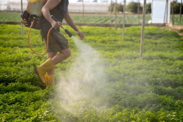 Pest Control Cost in Big Lake, WA