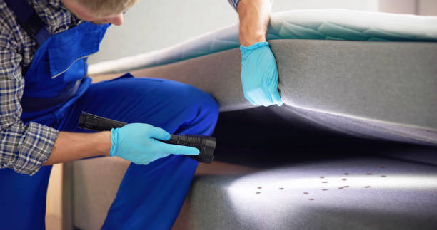 Best Local Pest Control Services  in Big Lake, WA