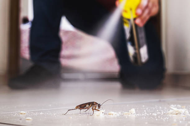 Best Residential Pest Control  in Big Lake, WA